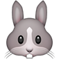 Rabbit face