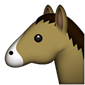 Cara del caballo