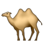 Kamel med to pukler