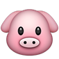 Pig rosto