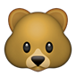 Urso de Brown